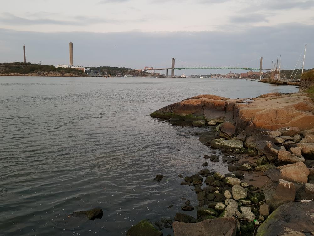 20170926_190124.jpg