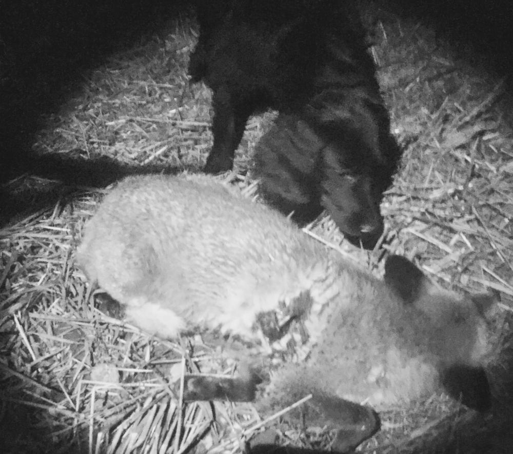 FullSizeRender 8.jpg