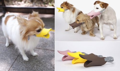Quack_Dog_Muzzle.jpg.2479830562ac58008d97d89d5af22f7e.jpg