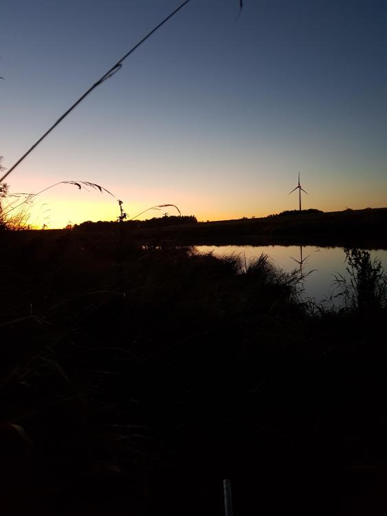 20171007_190404.jpg