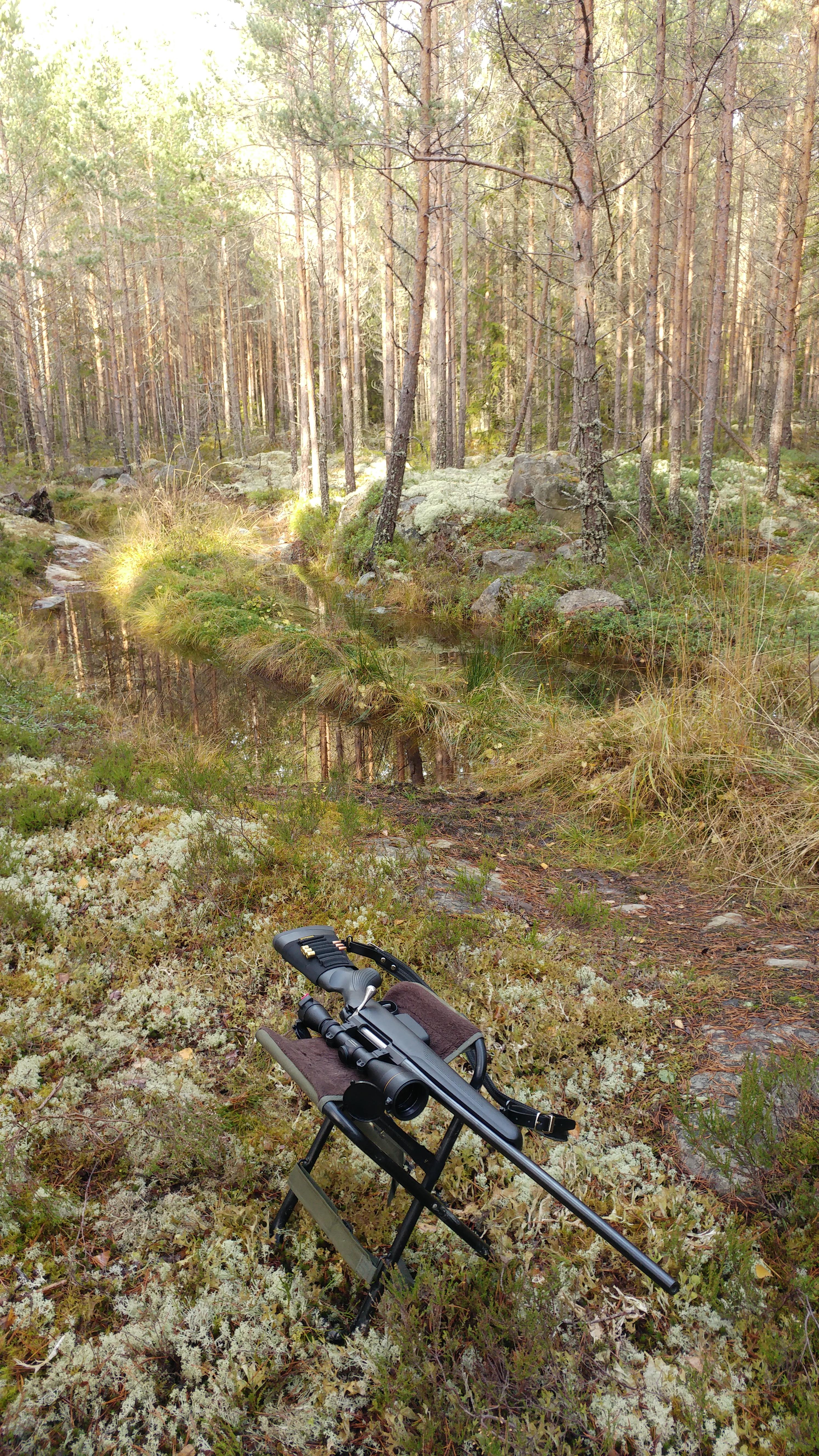 Tikka T3 eller annan likvärdig bössa