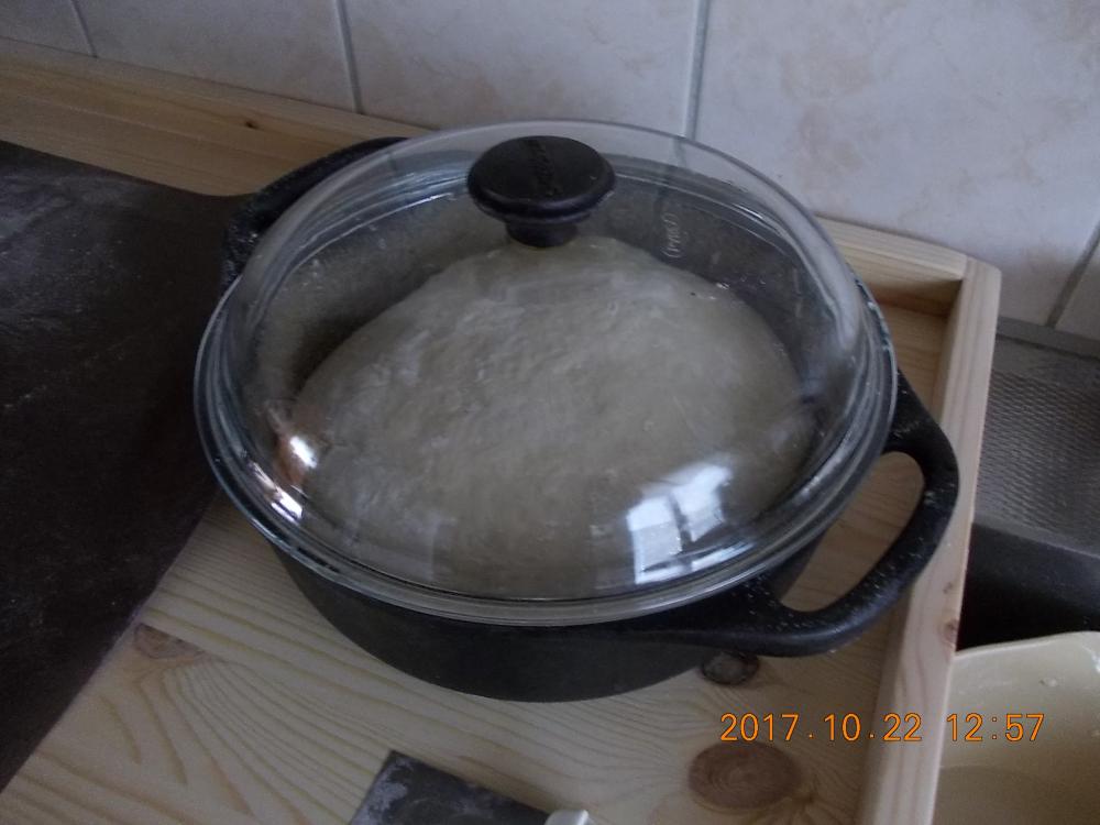 DSCN0946.JPG