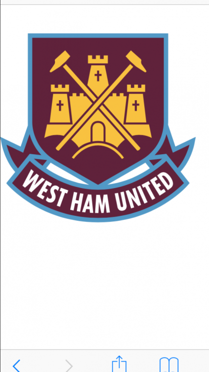 IMG_0413.PNG
