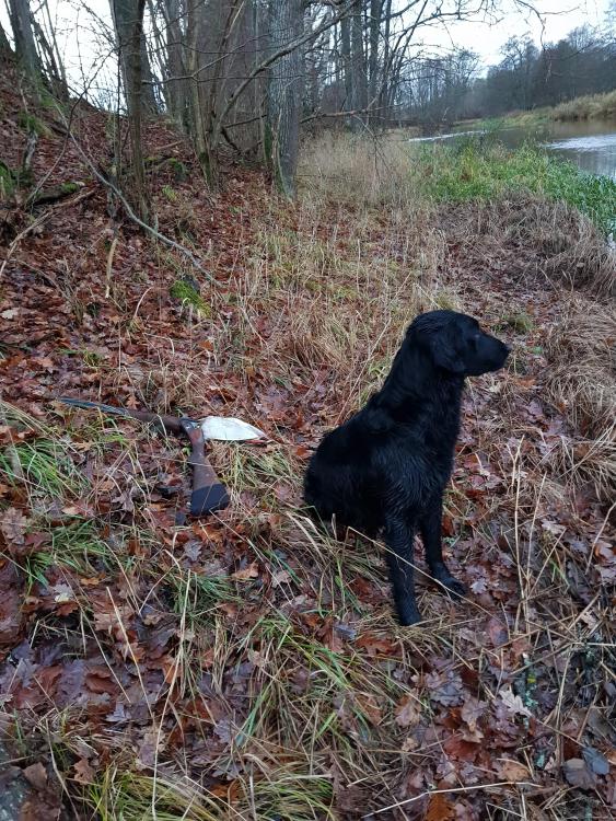 20171118_075922.jpg