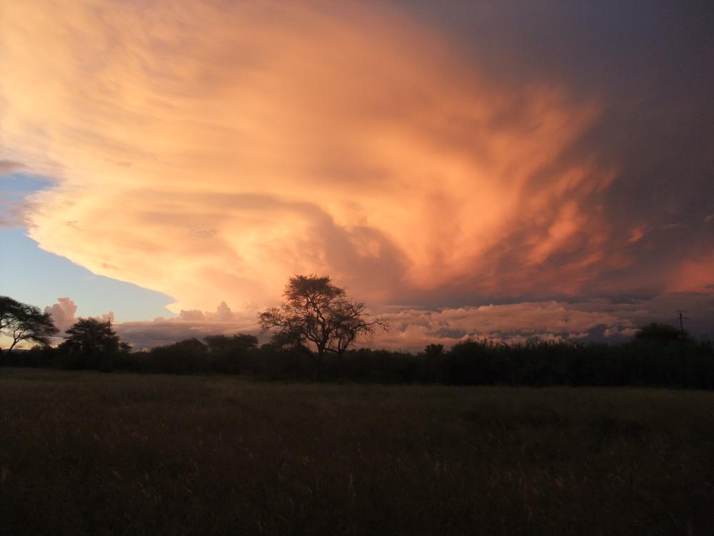 Namibia 2011 del 2 249.JPG