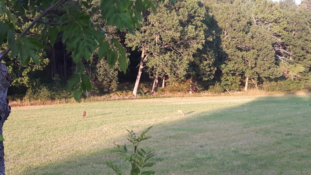20170816_193256.jpg