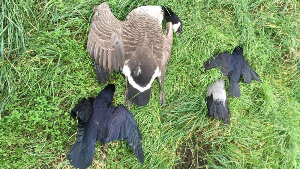 67956511-2219-497A-B3B0-890223F19C2D 2.jpeg