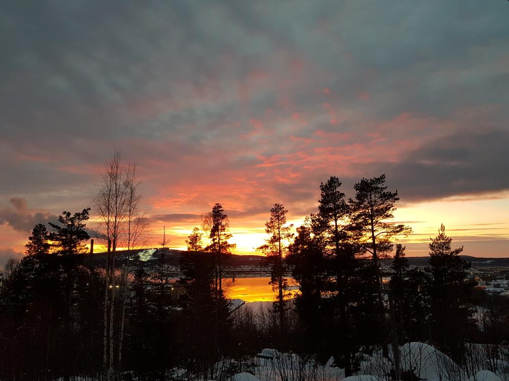 20180108_151754.jpg