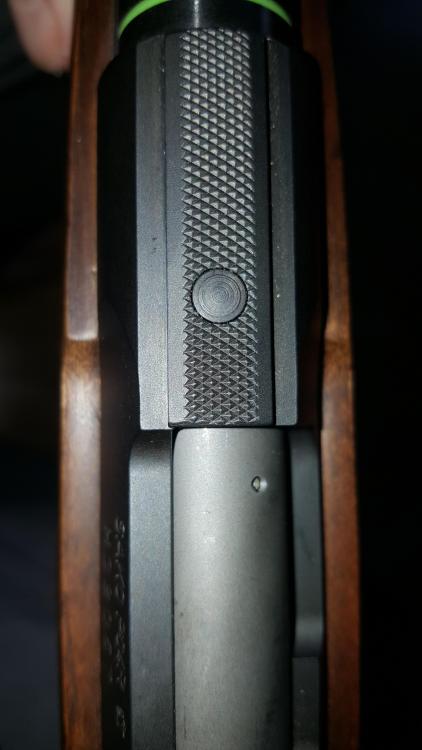 20180204_102912.jpg