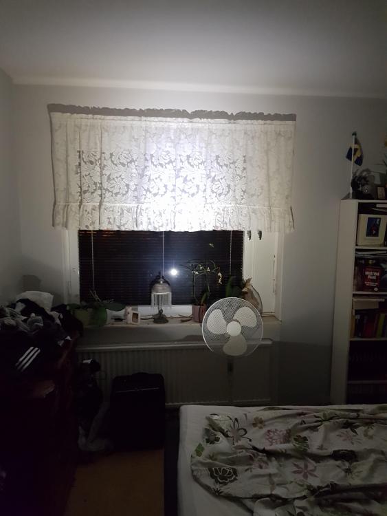 20180207_173307.jpg