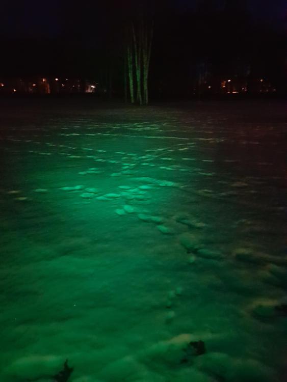 20180213_181115.jpg