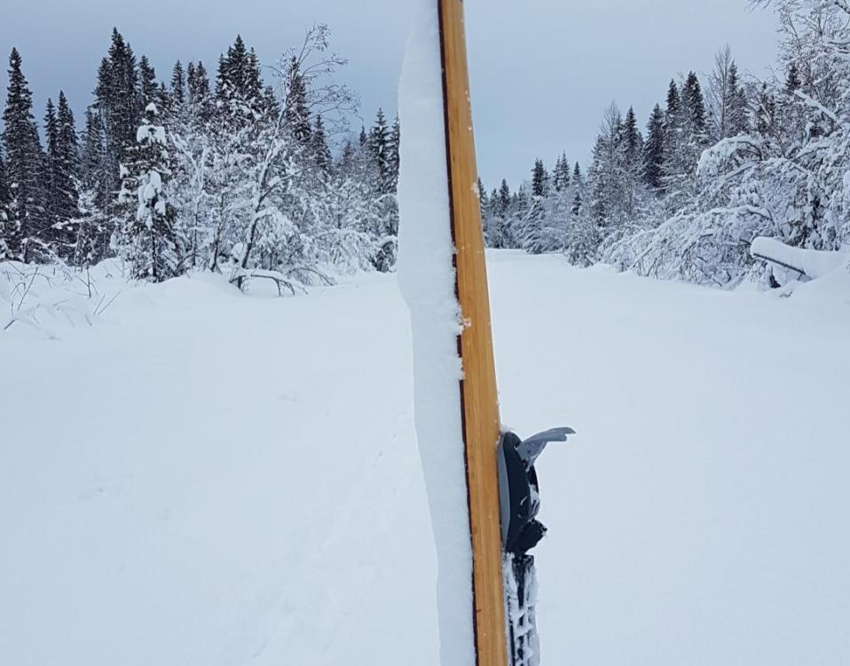 20180125_131838.jpg