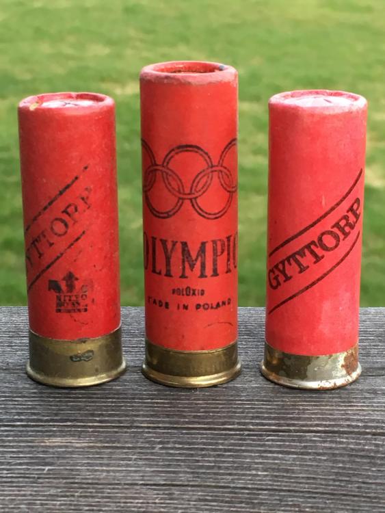 B6D03494-A485-46D1-B58F-423CF5572005.thumb.jpeg.f90e83398e99eb9e373a4e24ccede321.jpeg