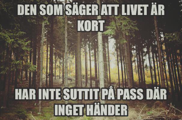 Livet.jpg.aeab39188242b3670ab84bfc8437ed7a.jpg