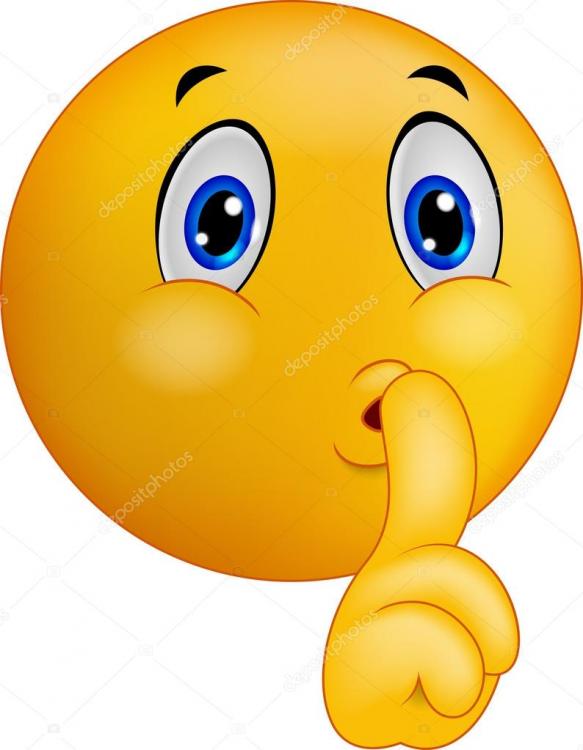 depositphotos_63475351-stock-illustration-cartoon-emoticon-smiley-making-silence.thumb.jpg.3c3e8ada62dabfb4e88c250761745d76.jpg