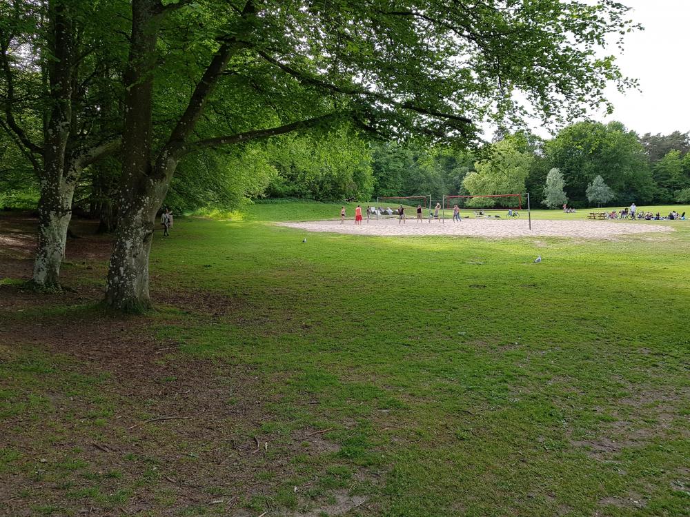 20180521_175426[1].jpg