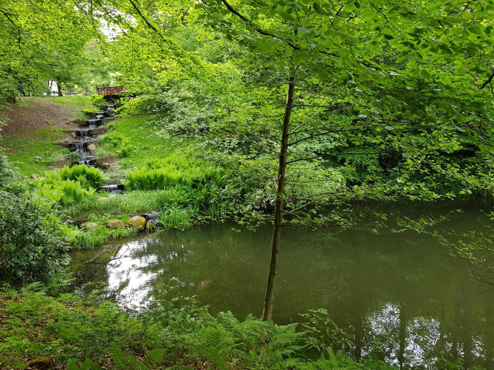20180521_174523[1].jpg
