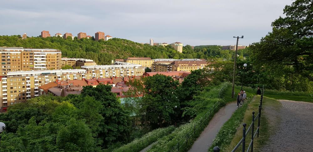 20180521_193842_044[1].jpg