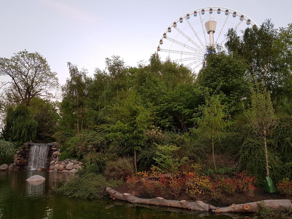 20180515_213546[1].jpg