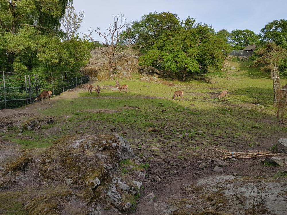 20180521_180706[1].jpg