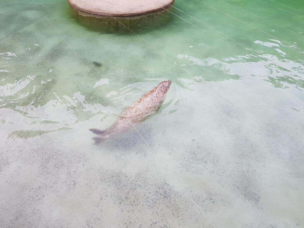 20180521_174033[1].jpg