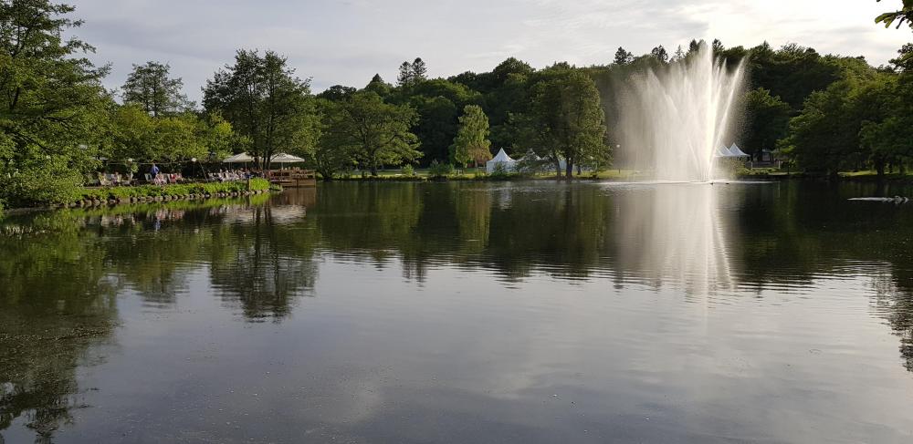 20180521_190718[1].jpg