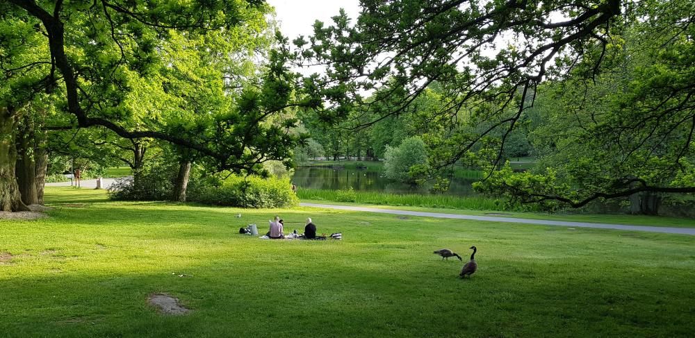 20180521_185251[1].jpg