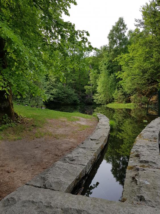 20180521_174358[1].jpg