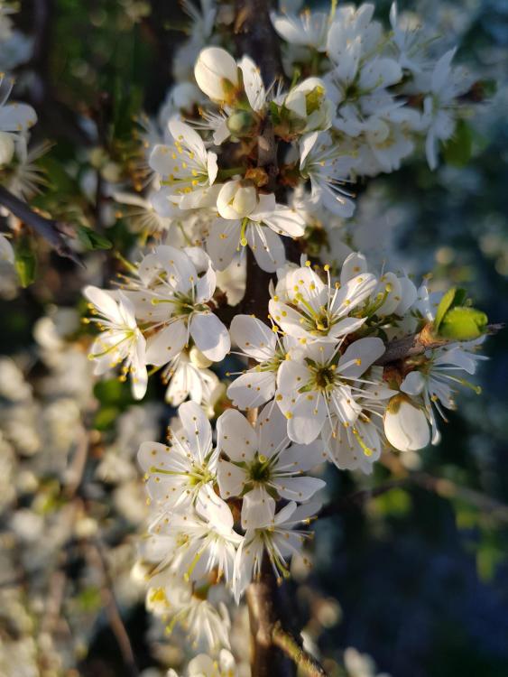 20180508_201619.jpg