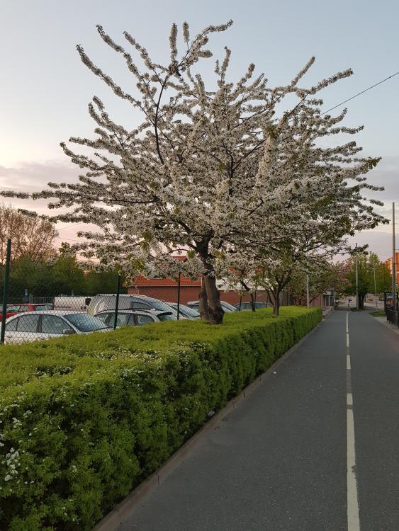 20180511_210859.jpg