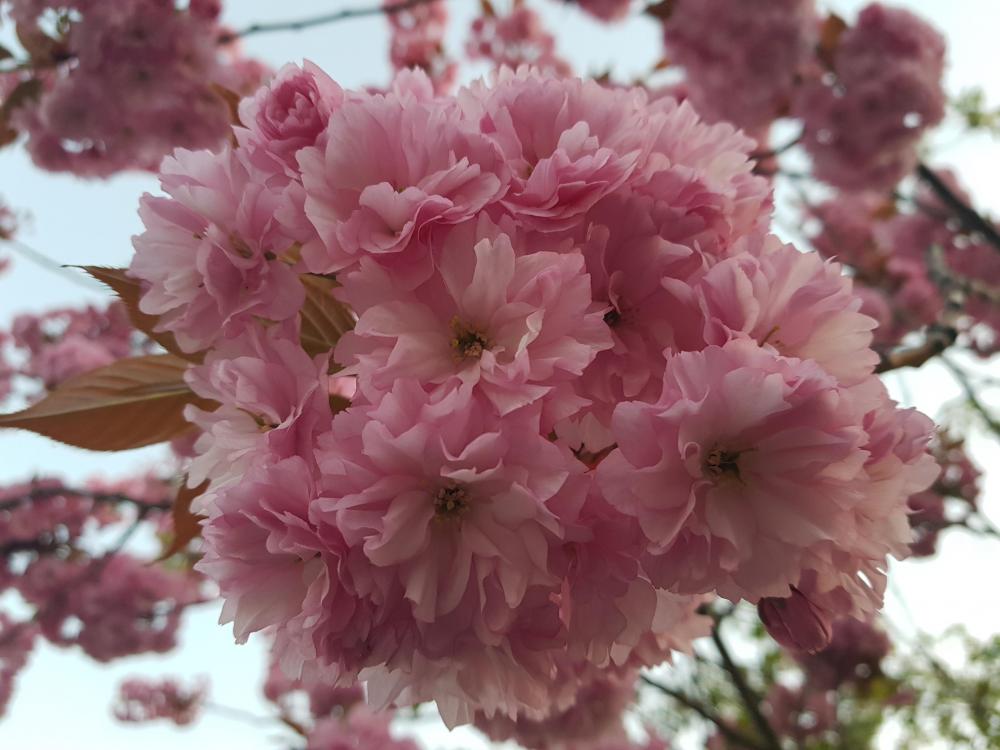 20180511_211014.jpg