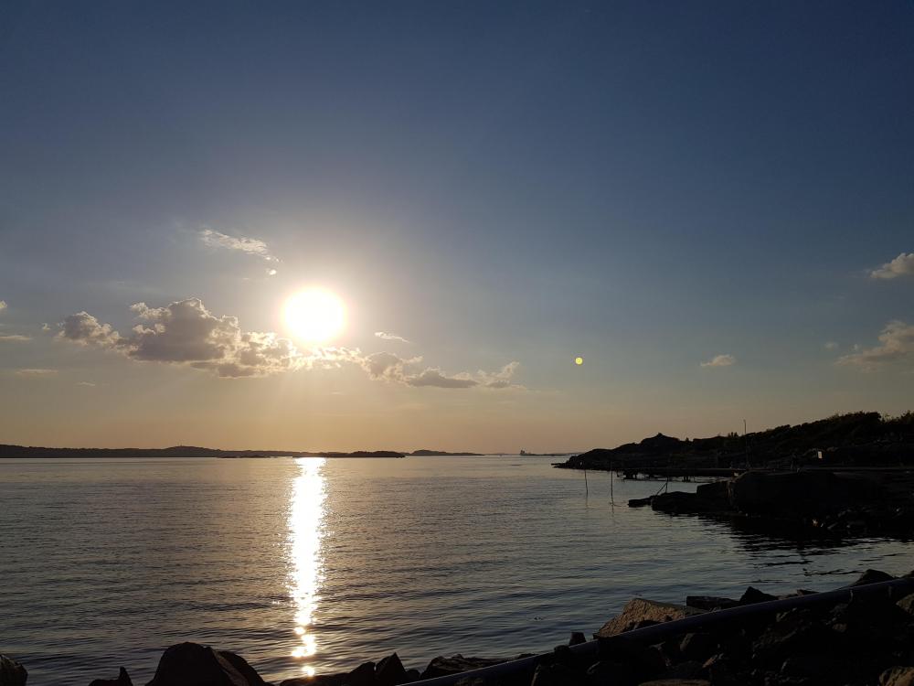 20180513_194448.jpg