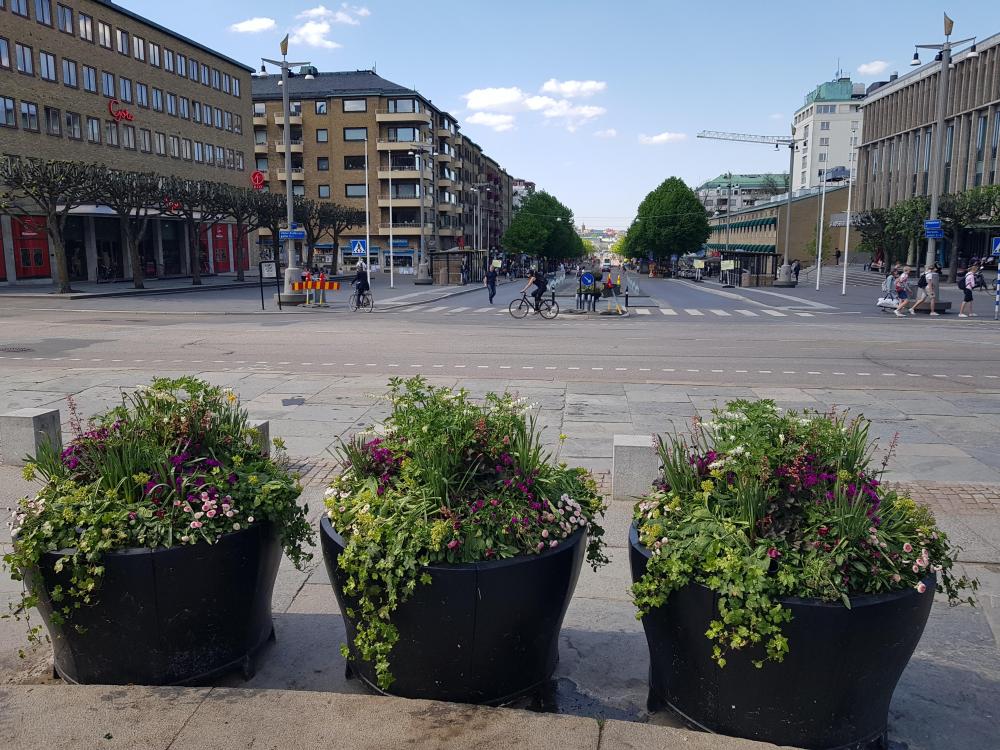 20180514_144944.jpg