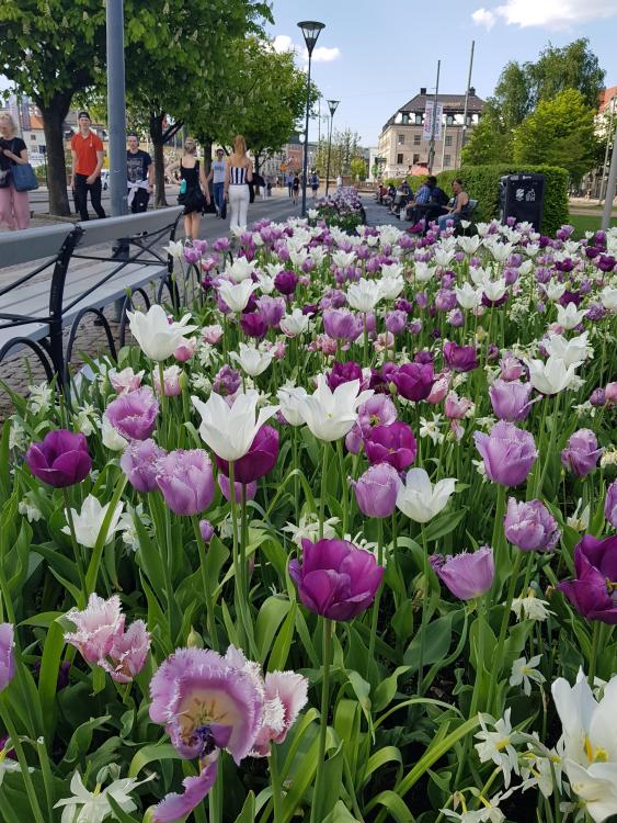 20180514_152148.jpg