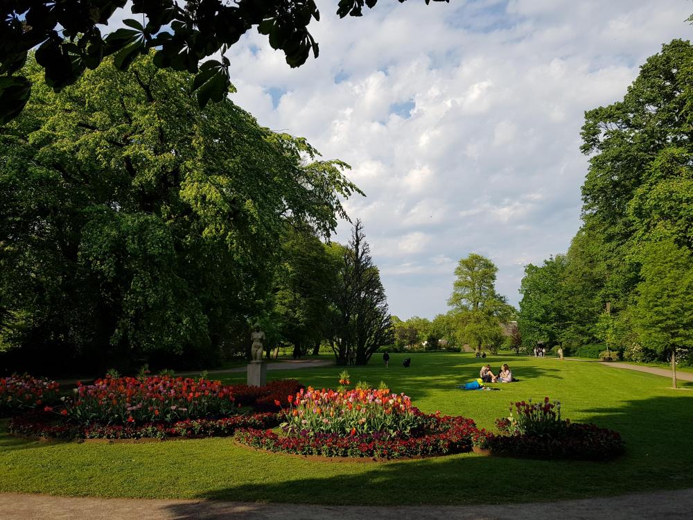 20180517_174937.jpg