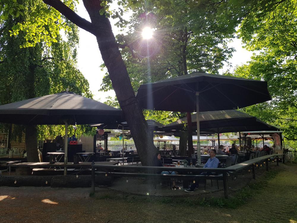 20180517_175011.jpg