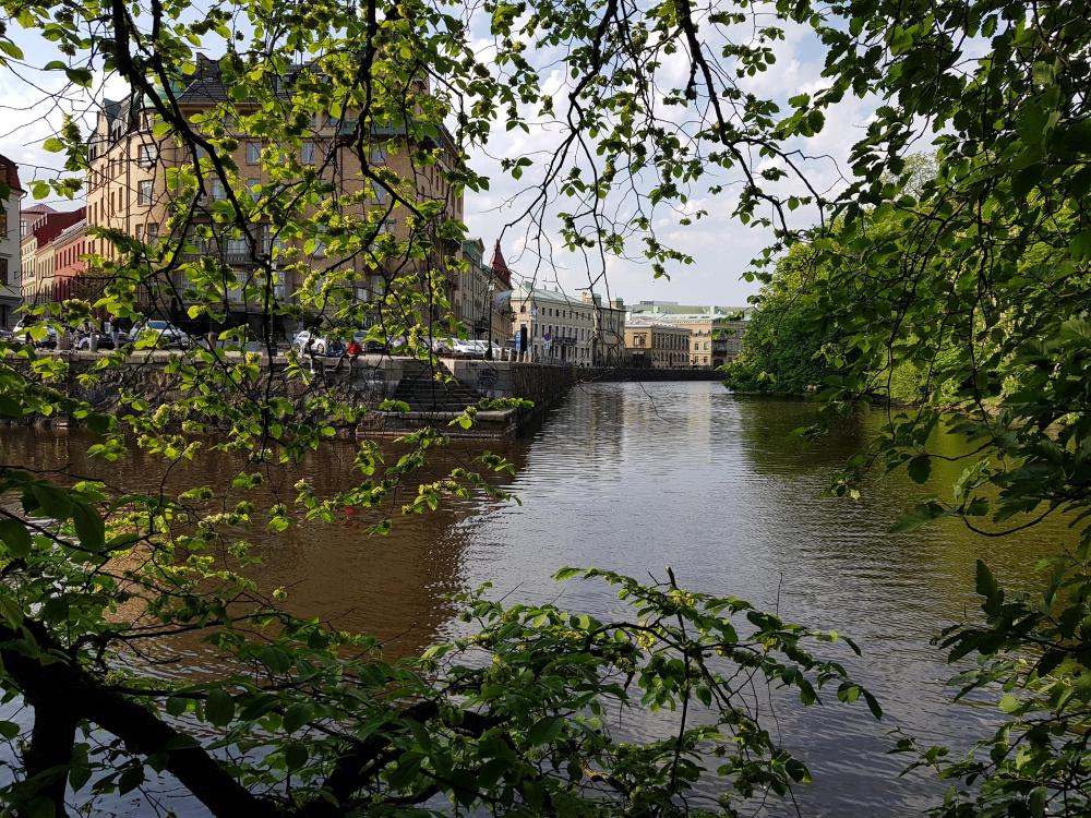 20180517_175139.jpg