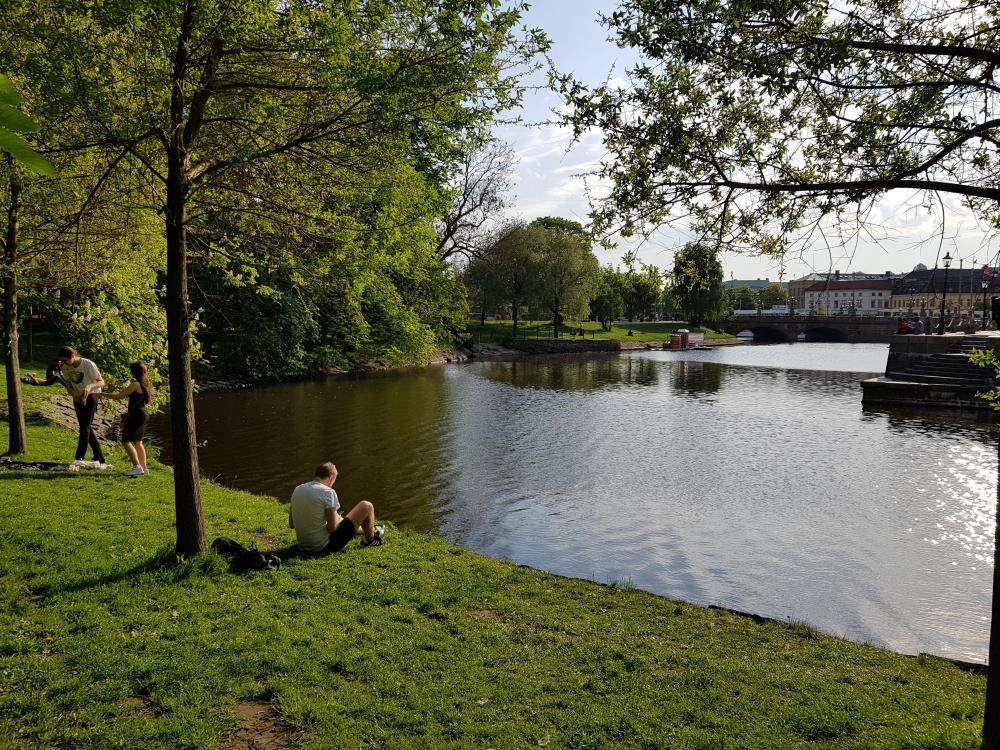 20180517_175254.jpg