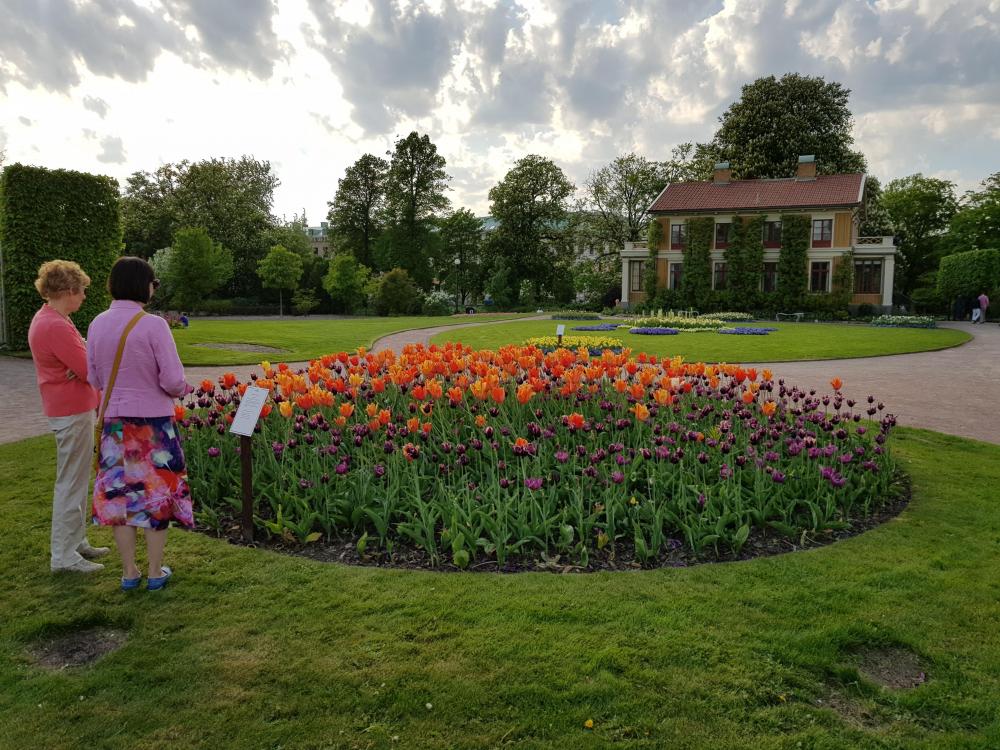 20180517_181001.jpg