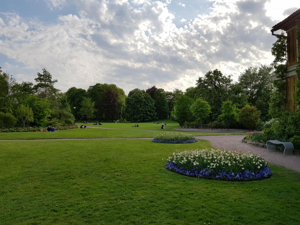 20180517_181359.jpg