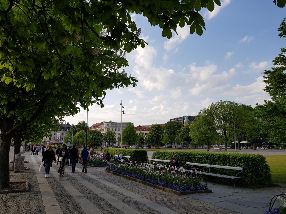 20180517_184622.jpg