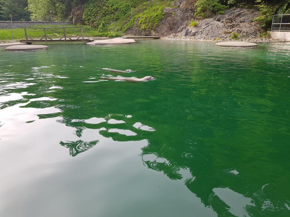 20180521_173725[1].jpg