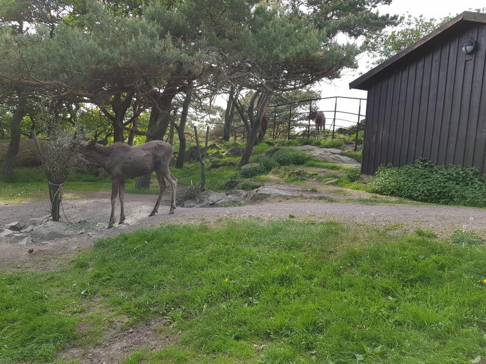 20180521_181545[1].jpg