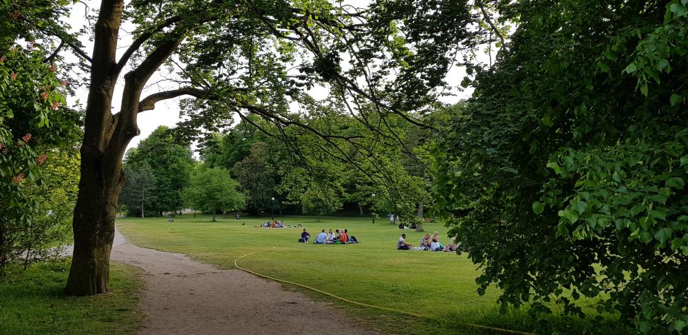 20180521_192048[1].jpg