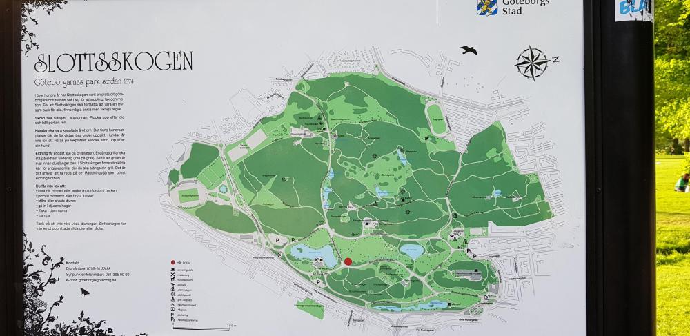 20180521_190829[1].jpg
