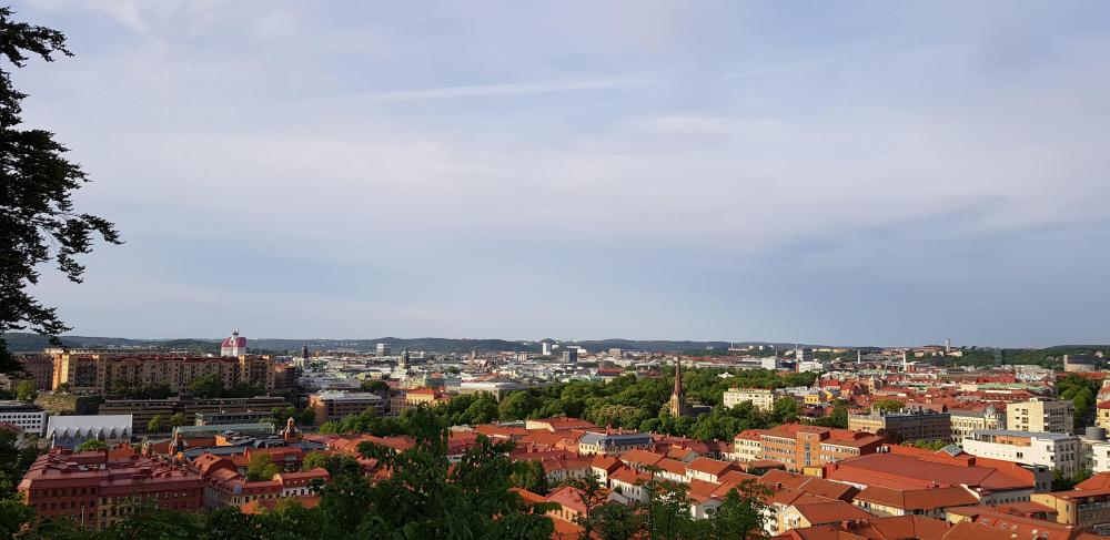 20180521_193636_023[1].jpg