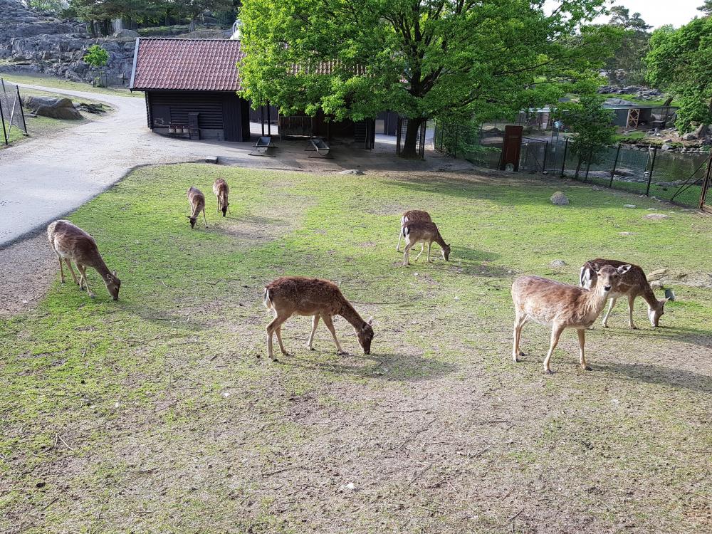 20180521_182130[1].jpg