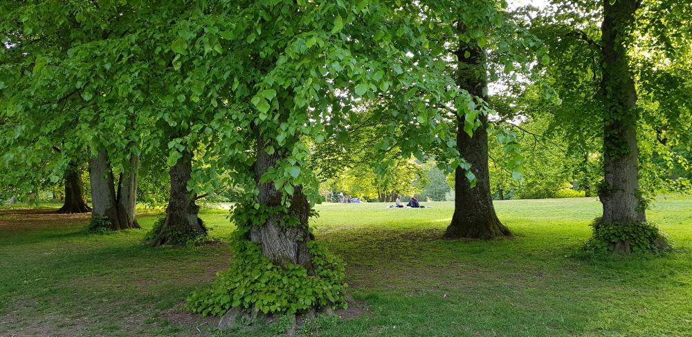 20180521_191826[1].jpg