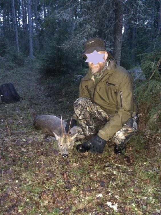 Vårbock.jpg