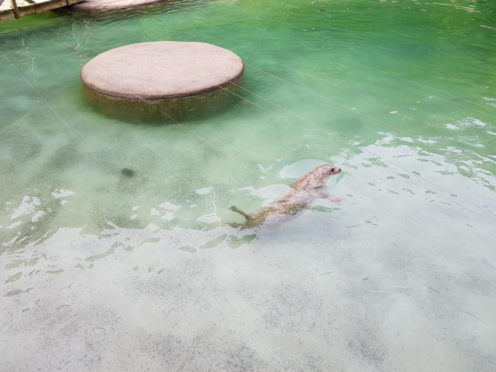 20180521_174007[1].jpg